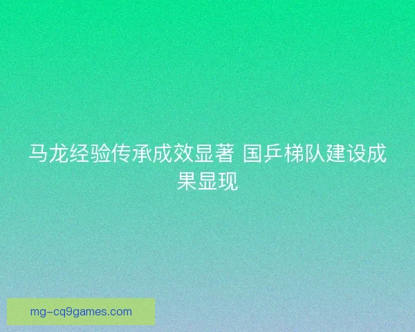 马龙经验传承成效显著 国乒梯队建设成果显现